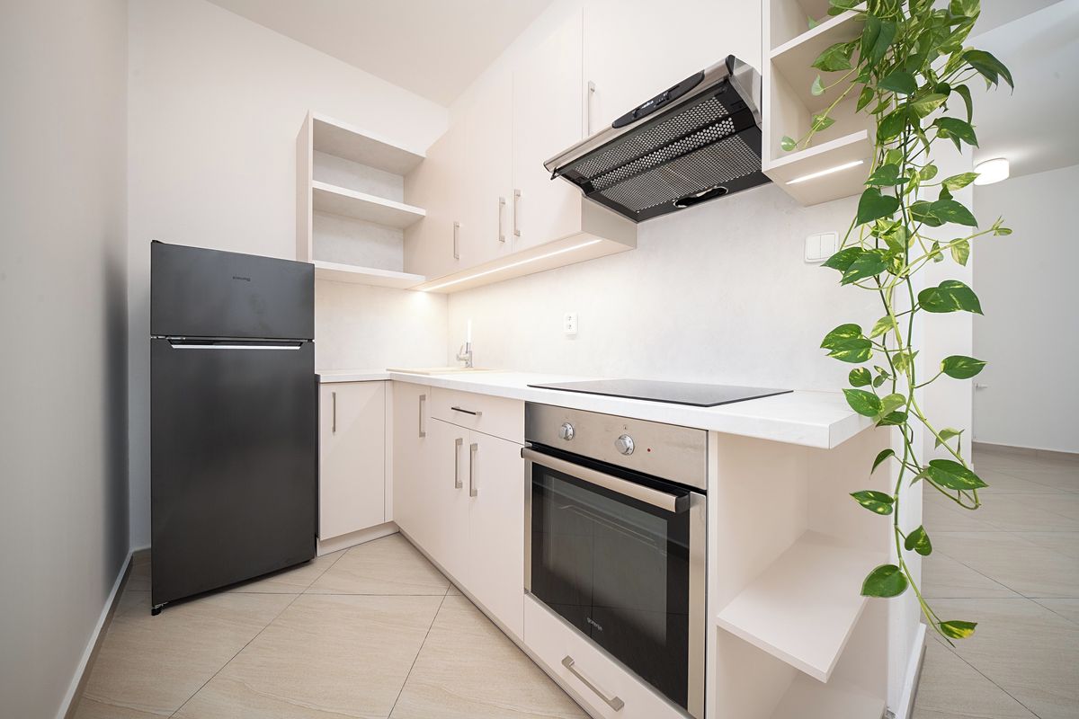 Pronájem bytu 3+kk 71 m² – fotografie 2