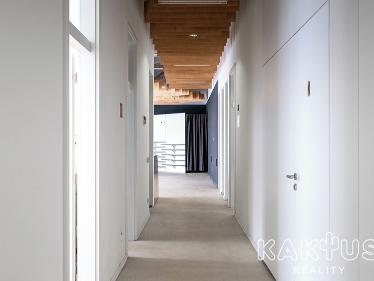 Gewerbefläche zur Miete, 375 m² (10 von 24)