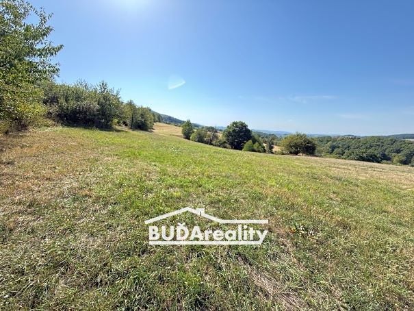 Prodej louky 3374 m² – fotografie 4