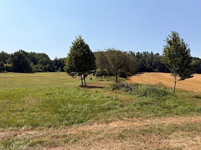 Prodej zahrady 3045 m²