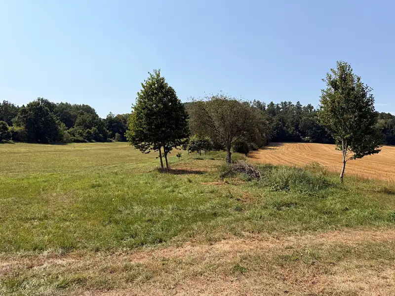 Prodej zahrady 3045 m², Česká Lípa – náhled fotky 1