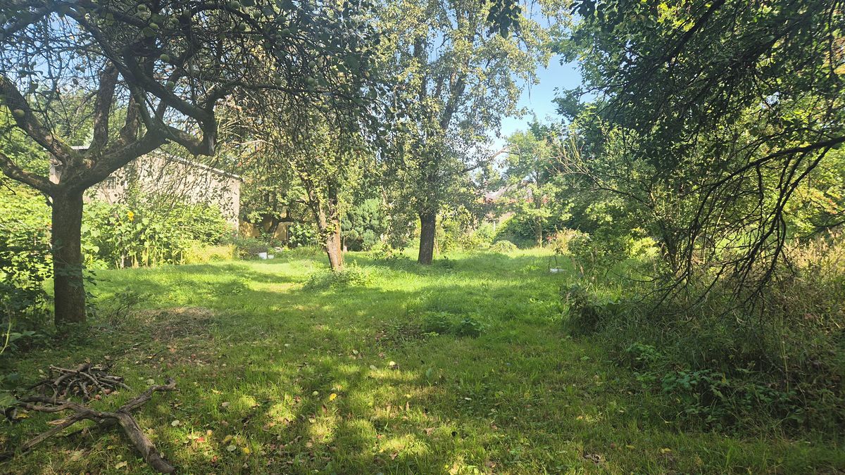 Prodej rodinného domu 133 m², pozemek 1250 m² – fotografie 4