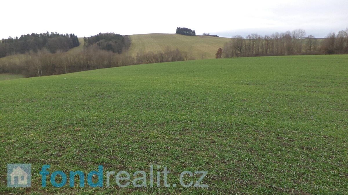 Prodej pole 12056 m² – fotografie 3