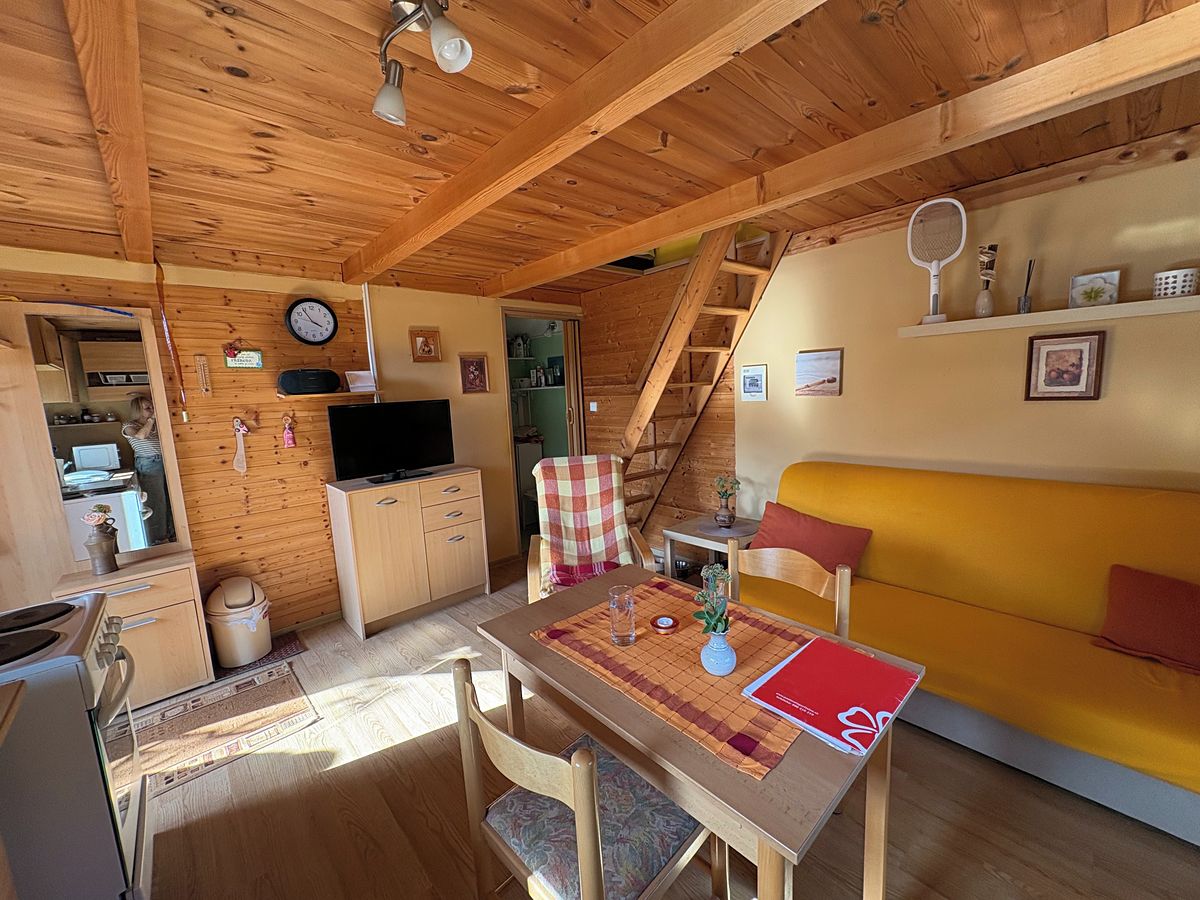 Prodej chaty 50 m², pozemek 329 m² – fotografie 4