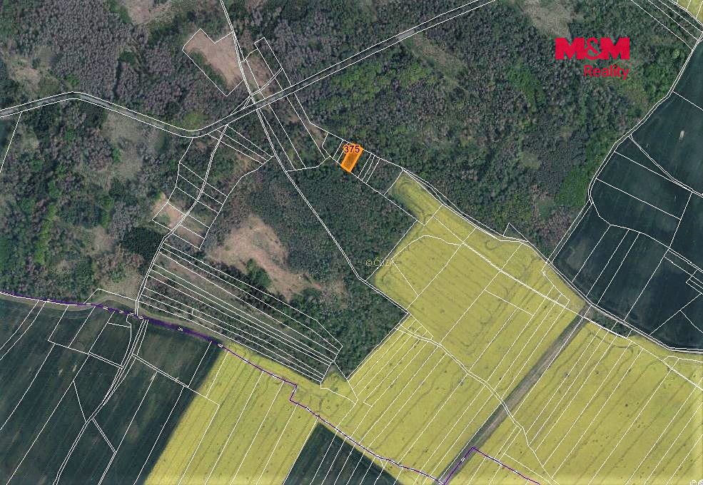 Prodej lesa 942 m² – fotografie 3