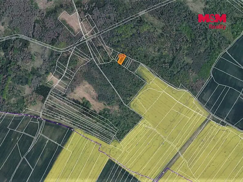 Prodej lesa 942 m², Račice – náhled fotky 3