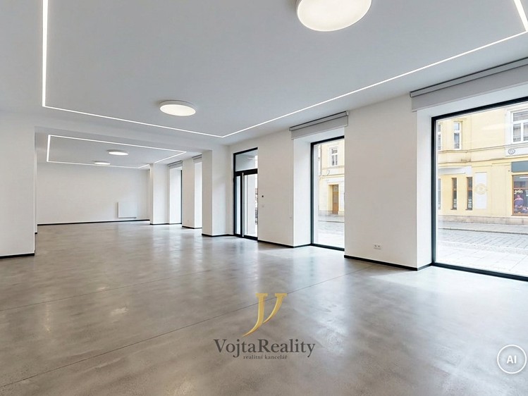 Gewerbefläche zur Miete, 215 m² (3 von 18)