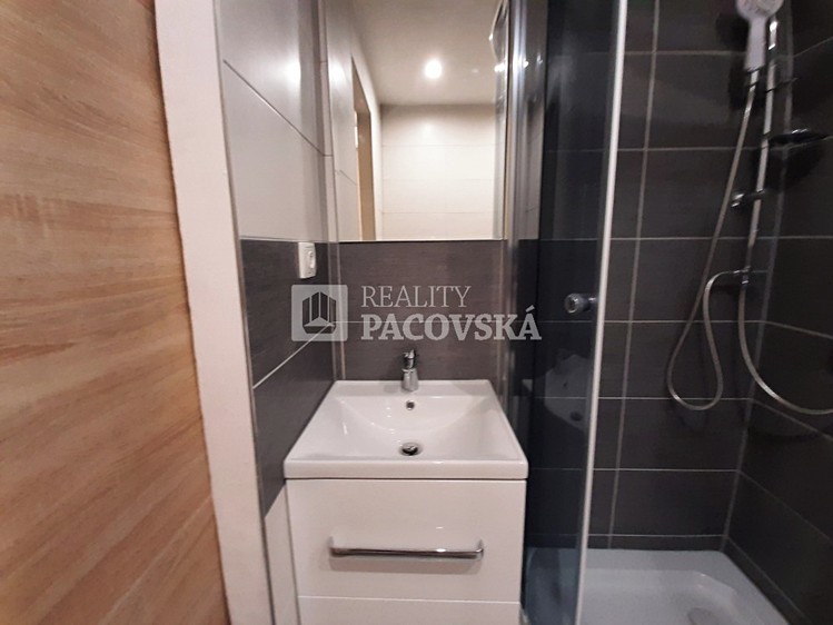 Pronájem bytu 1+kk, 21 m² (8 z 17)