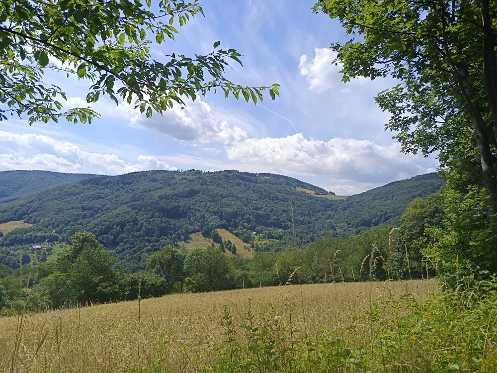 Prodej pozemku 42844 m²