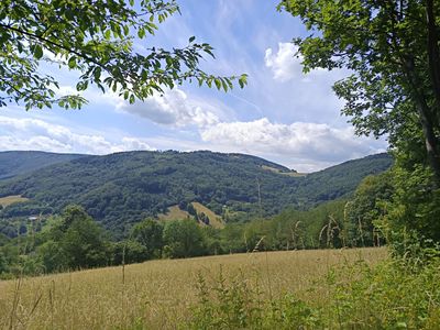 Prodej pozemku 42844 m²
