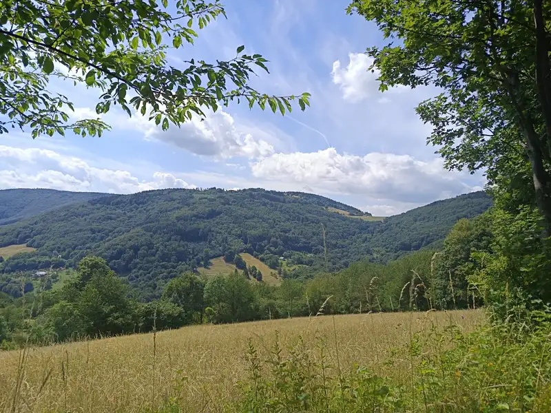 Prodej pozemku 42844 m², Lopeník – náhled fotky 1