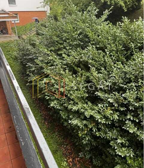 Prodej bytu 1+kk, 35 m² (17 z 18)