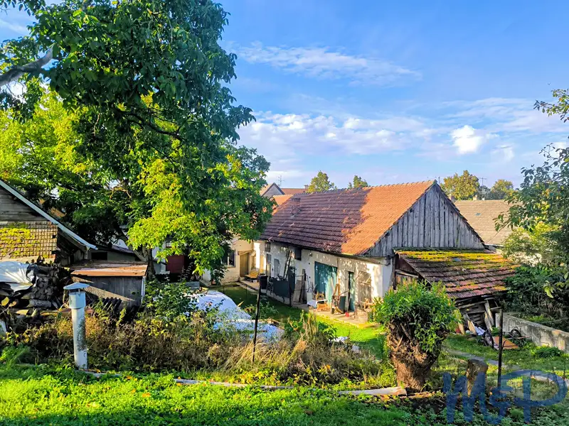 Prodej rodinného domu 114 m², pozemek 2595 m², Čáslavice – náhled fotky 3