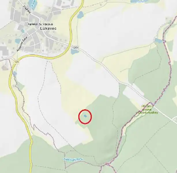 Prodej lesa 978 m², Lukavec – náhled fotky 2