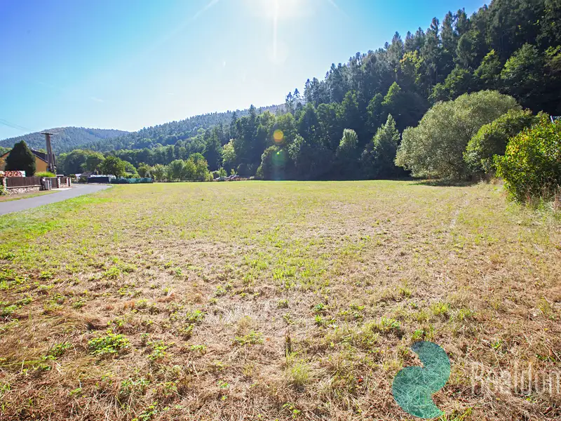 Prodej stavebního pozemku 2031 m², Lesnice – náhled fotky 1