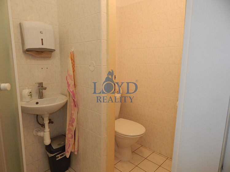 Pronájem komerčního prostoru, 274 m² (17 z 22)