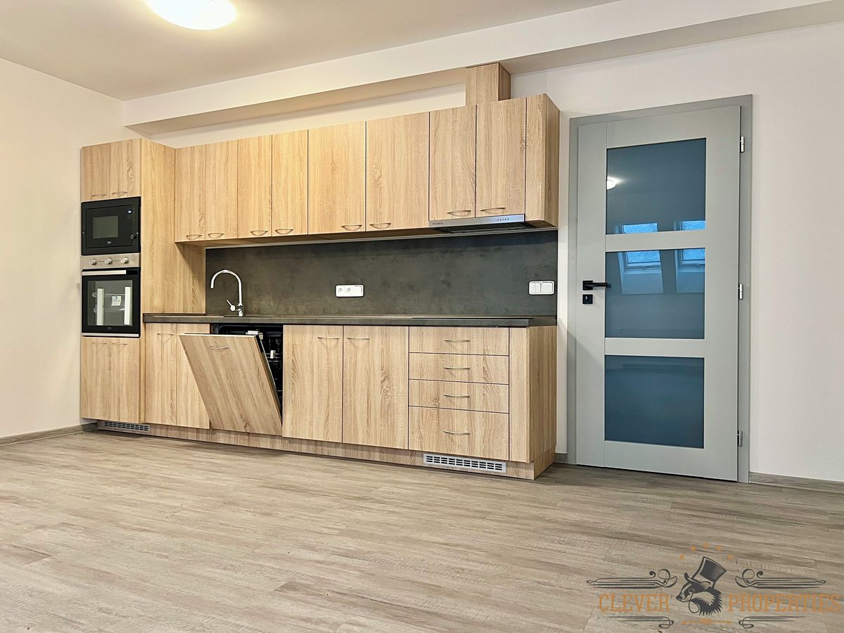 Pronájem bytu 1+kk 52 m²