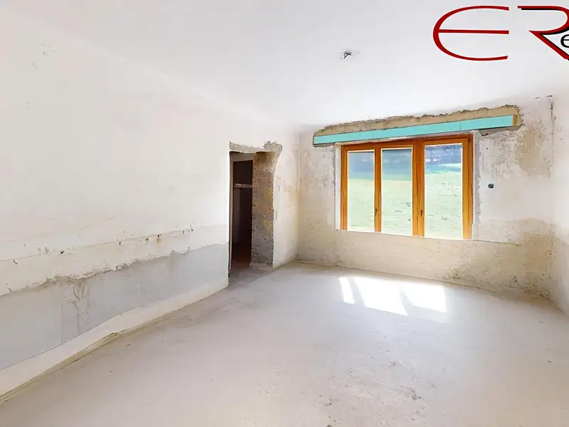 Prodej rodinného domu 394 m², pozemek 3898 m², Pěnčín – náhled fotky 3
