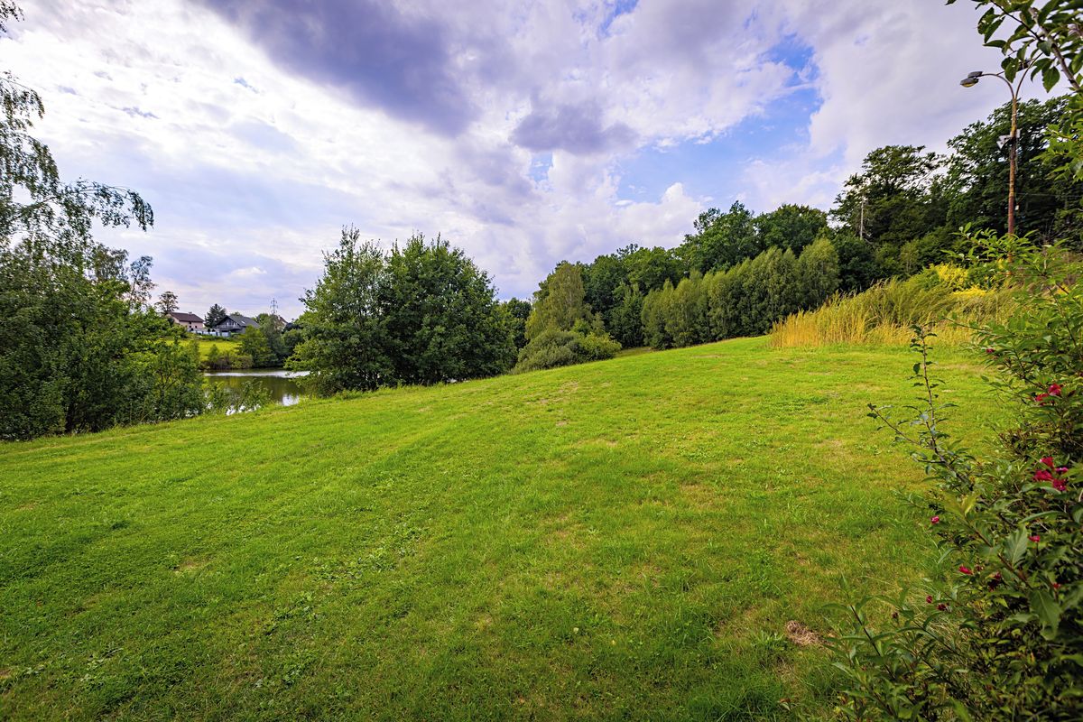 Prodej komerčního pozemku 19506 m² – fotografie 4