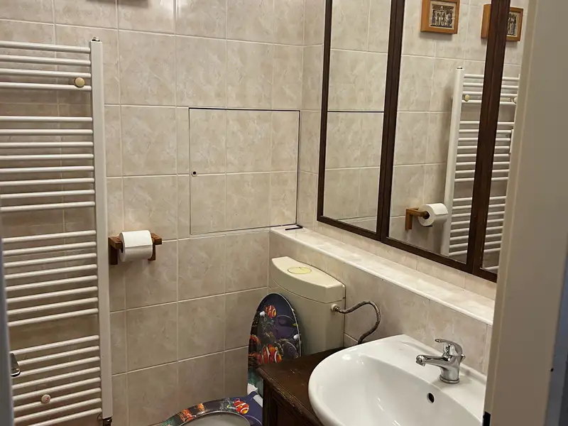 Pronájem bytu 1+kk 40 m², Praha – náhled fotky 3