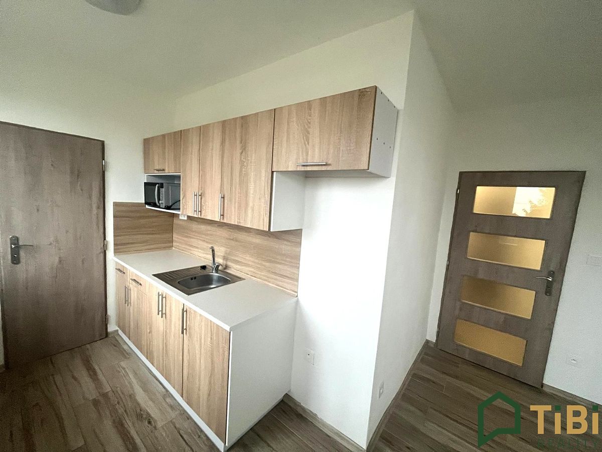 Pronájem bytu 1+1 35 m² – fotografie 2