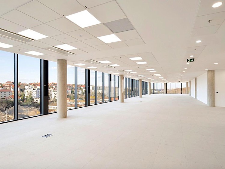 Gewerbefläche zur Miete, 247 m² (3 von 10)