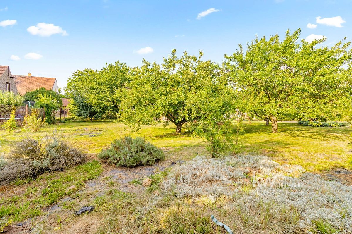 Prodej rodinného domu 181 m², pozemek 1485 m² – fotografie 5