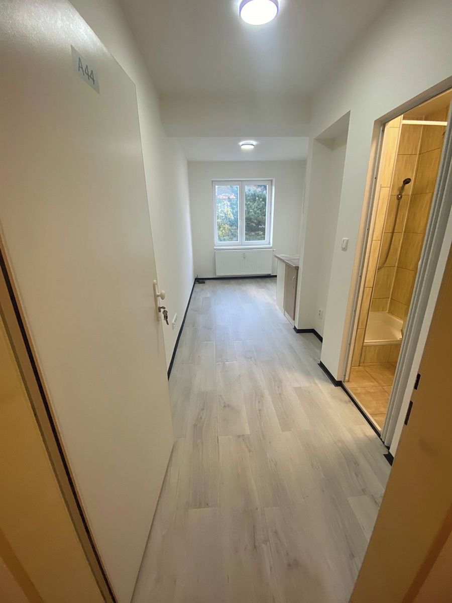 Pronájem bytu 1+kk 18 m²