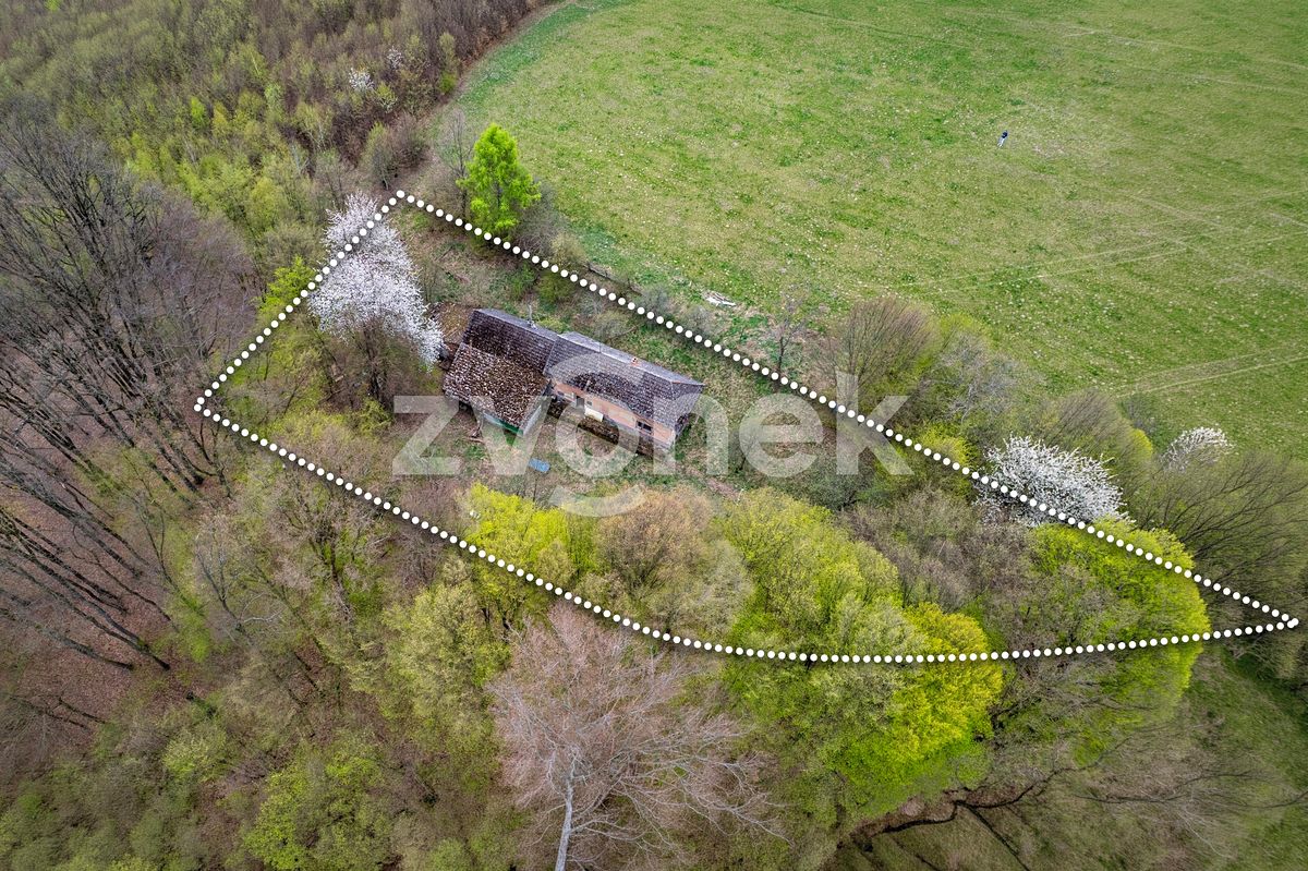 Prodej rodinného domu 210 m², pozemek 3984 m² – fotografie 5