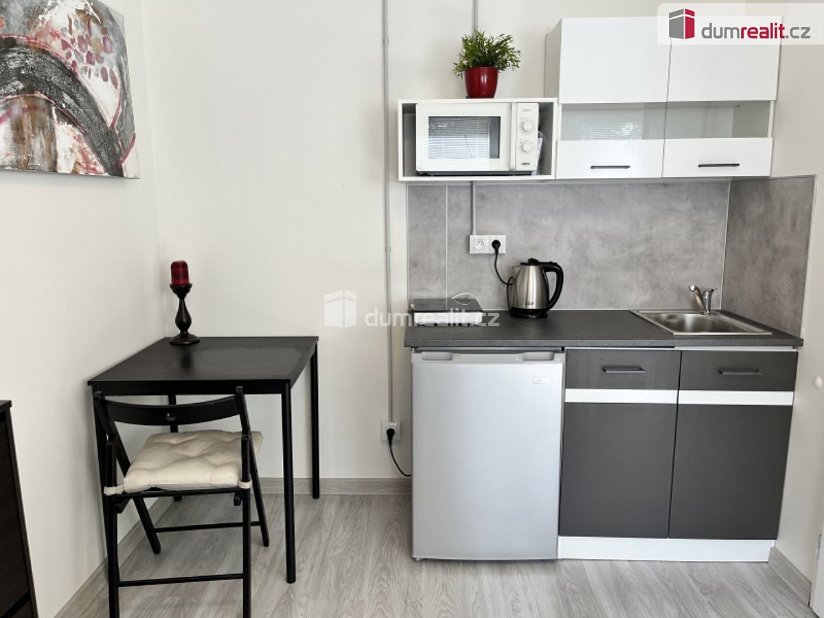 Pronájem bytu 1+kk 18 m² – fotografie 4