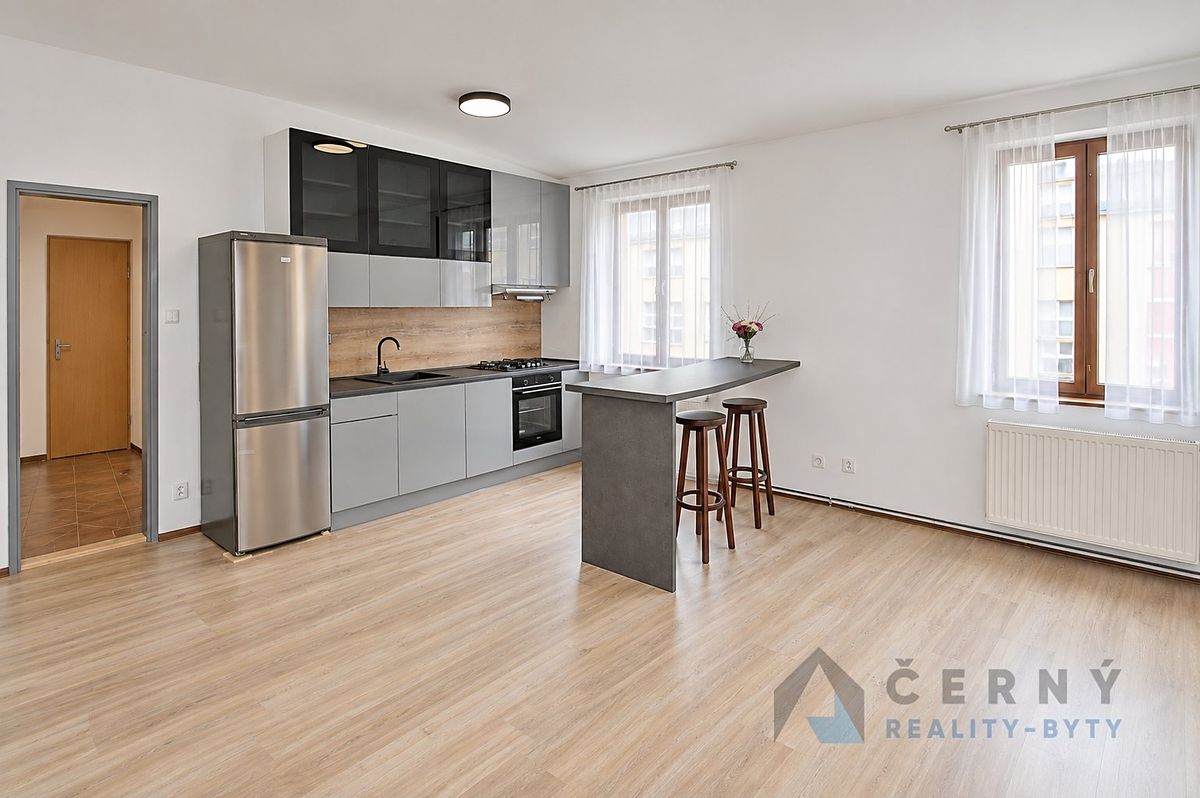 Pronájem bytu 1+kk 45 m²