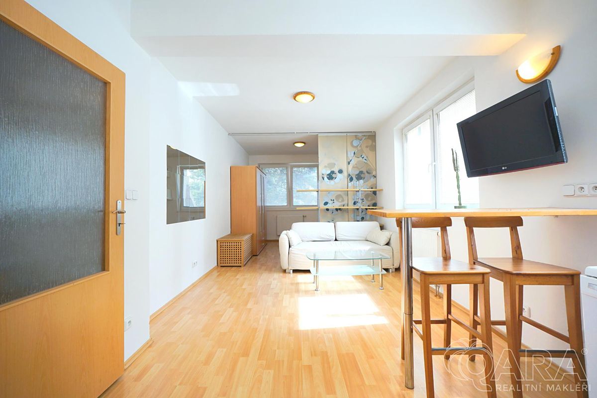 Pronájem bytu 1+kk 38 m² – fotografie 3