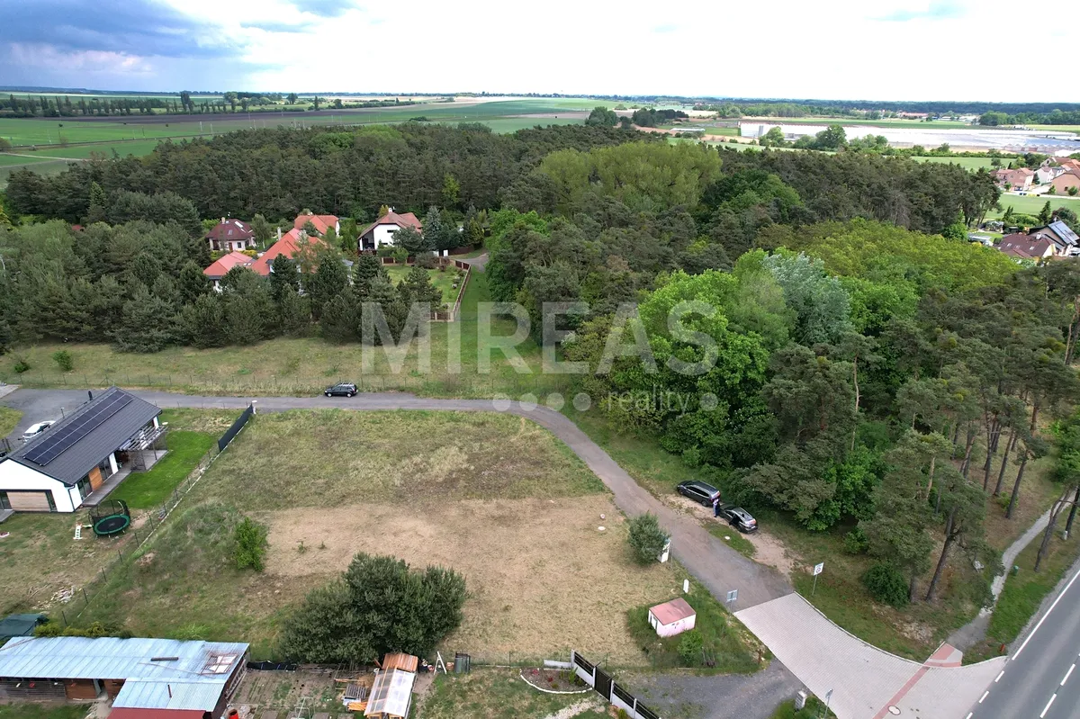 Fotka 5 z 15