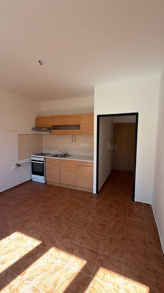 Pronájem bytu 1+1 43 m²