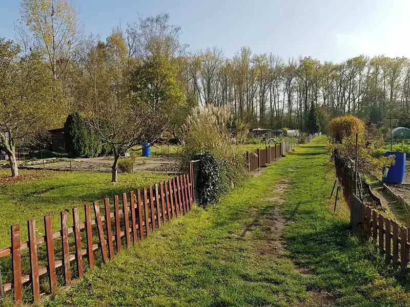 Pronájem zahrady 200 m², Rybitví – náhled fotky 2