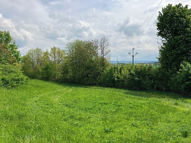Grundstück zum Kauf, 5.367 m² (9 von 13)