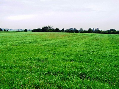 Prodej komerčního prostoru, 6 000 m² (3 z 4)