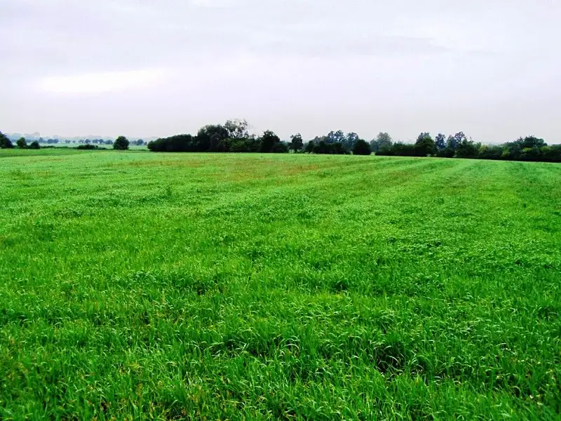 Prodej skladového prostoru 6000 m², Mohelnice – náhled fotky 3