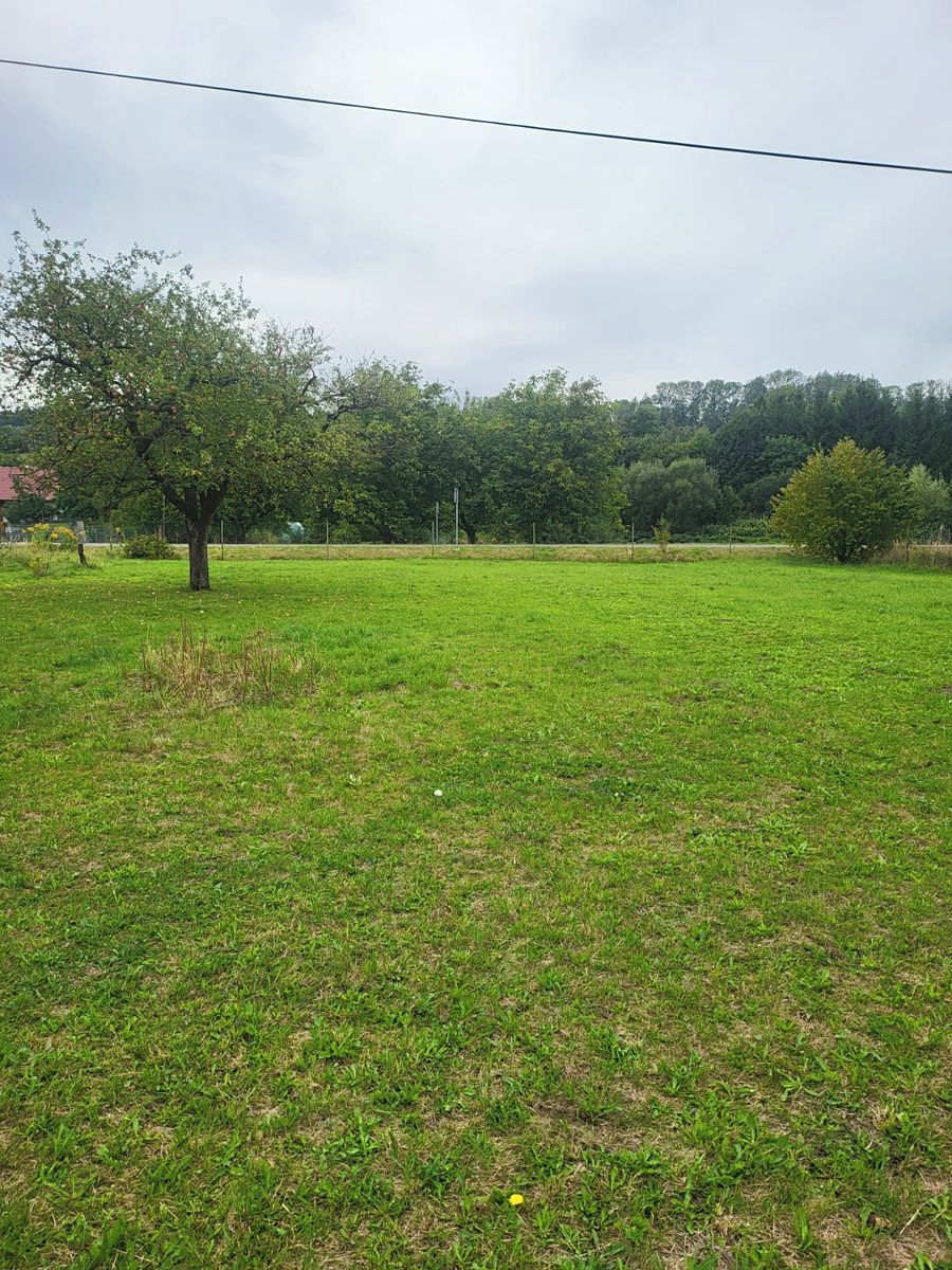Prodej zahrady 2616 m² – fotografie 3
