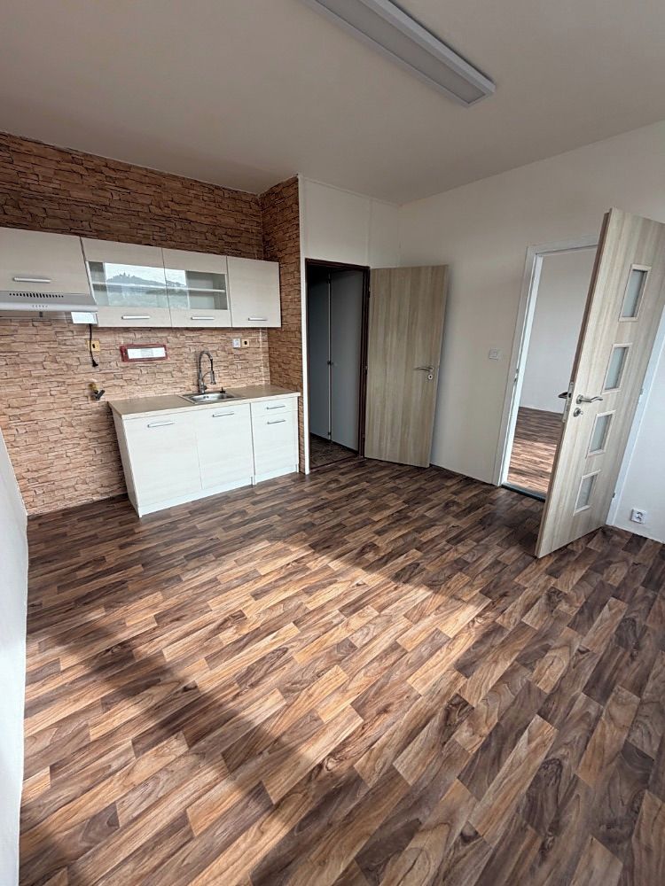Pronájem bytu 1+1 35 m²