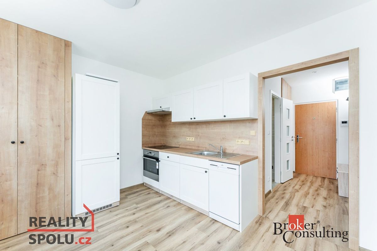 Pronájem bytu 1+1 36 m²