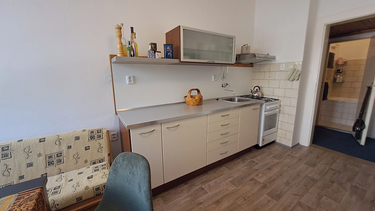 Pronájem bytu 1+1 42 m² – fotografie 3