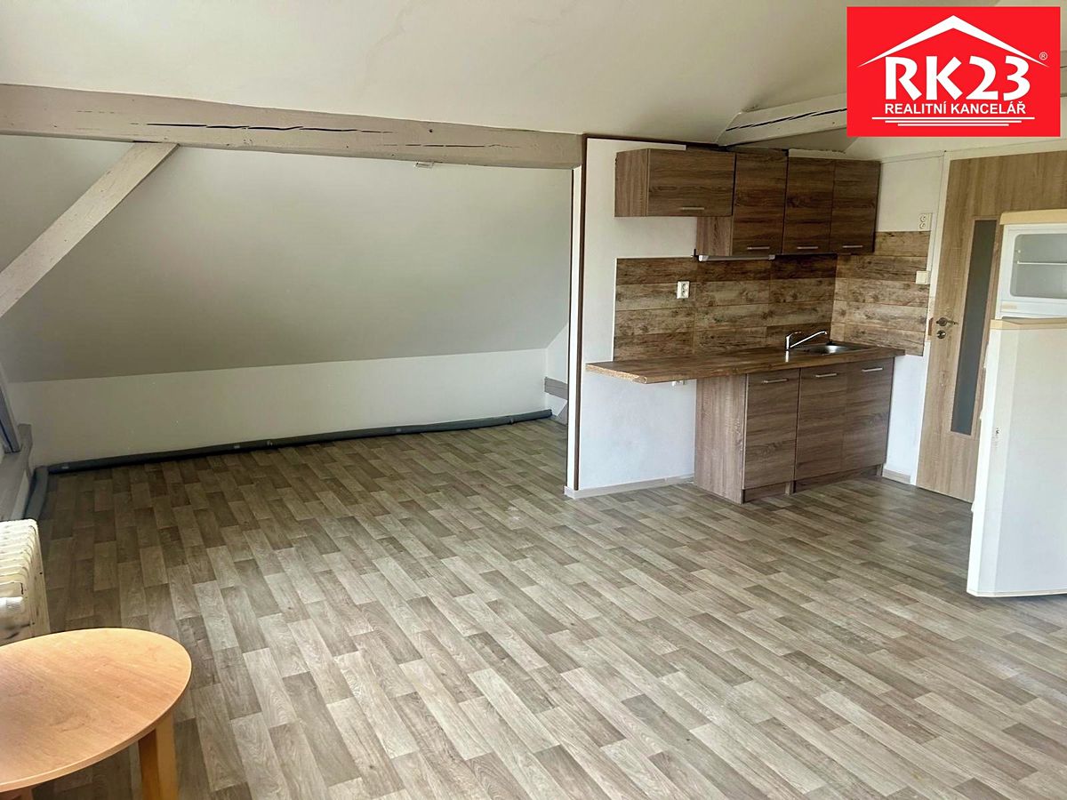 Pronájem bytu 1+kk 45 m² – fotografie 3
