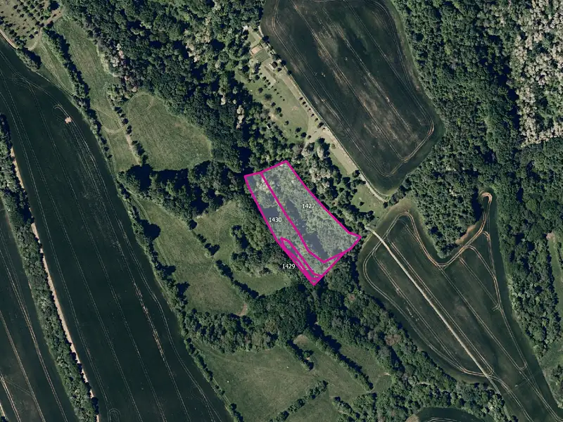 Prodej pole 15472 m², Traplice – náhled fotky 3