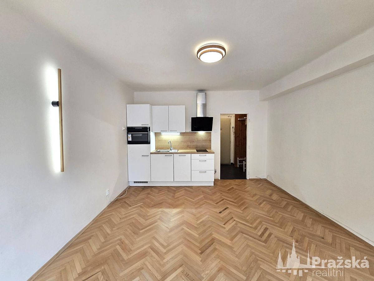 Pronájem bytu 1+kk 25 m² – fotografie 4