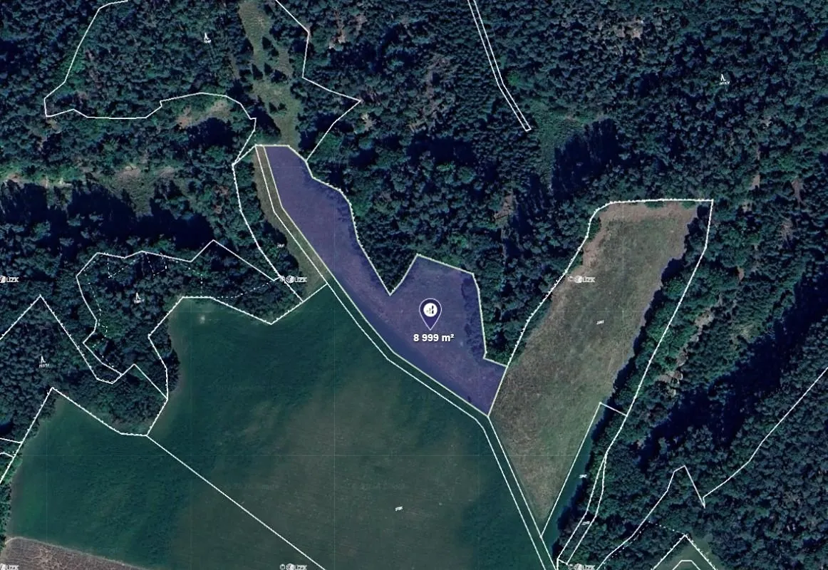 Prodej pole 8999 m²