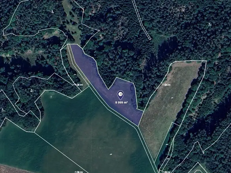 Prodej pole 8999 m², Dobřeň – náhled fotky 1