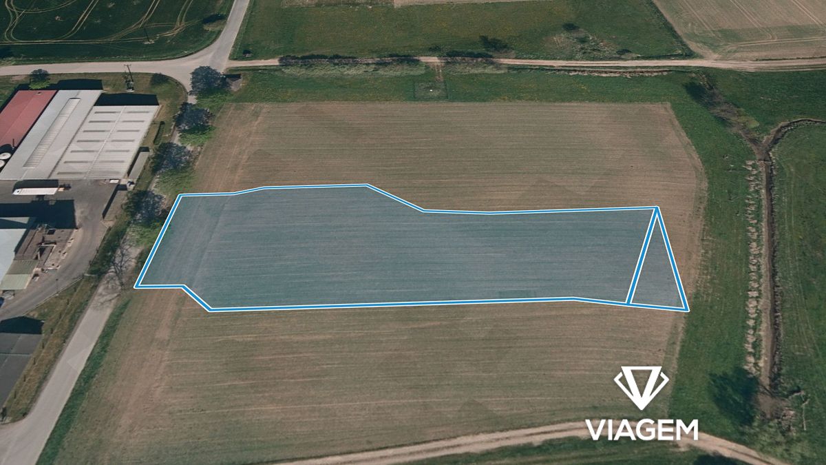 Prodej pole 4234 m² – fotografie 2