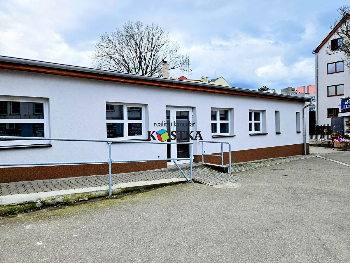Prodej obchodního prostoru 115 m² – fotografie 2