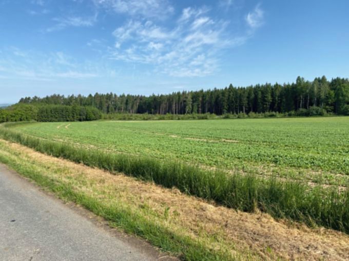 Prodej stavebního pozemku 8669 m² – fotografie 4